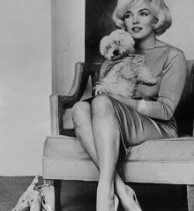 marylin maf